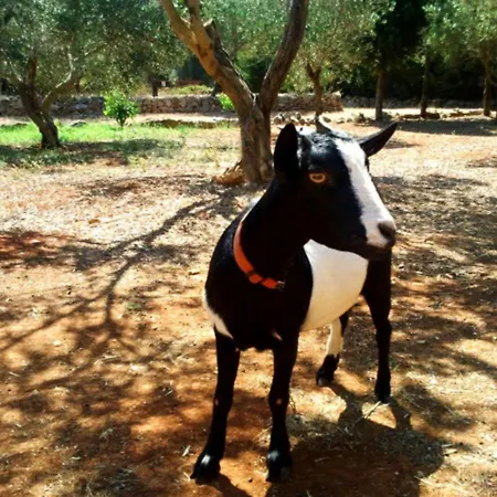 Masseria Isola Bed & Breakfast