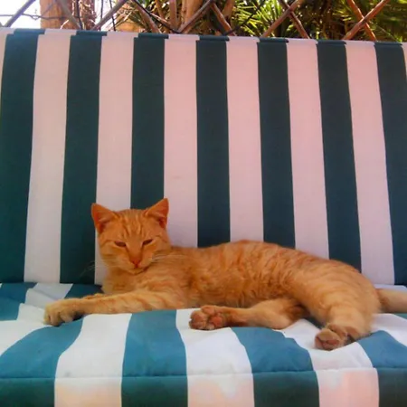 Bed & Breakfast Masseria Isola *
