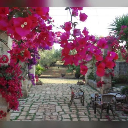 Bed & Breakfast Masseria Isola