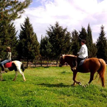 Bed & Breakfast Masseria Isola *