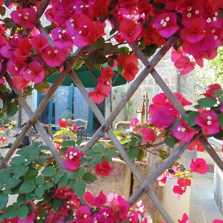 Bed & Breakfast Masseria Isola