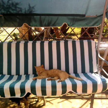 Bed & Breakfast Masseria Isola Alessano