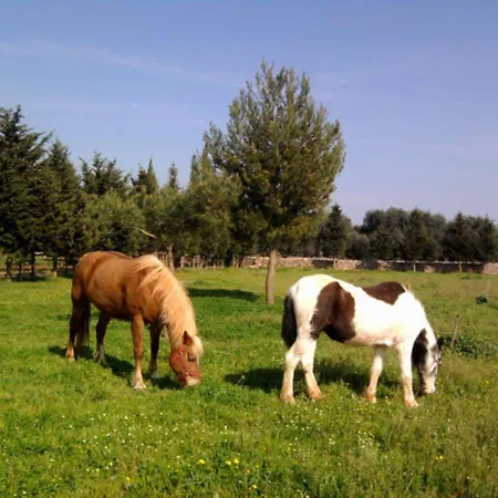 Masseria Isola Bed & Breakfast Alessano