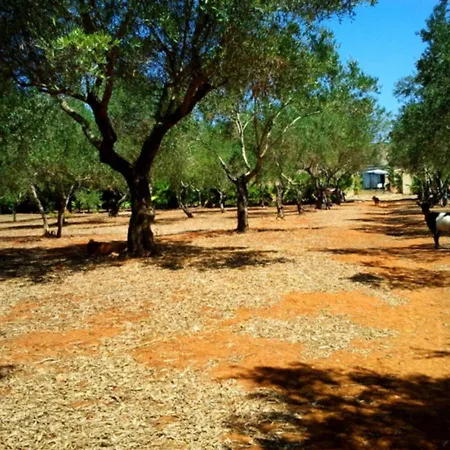 Masseria Isola Alessano