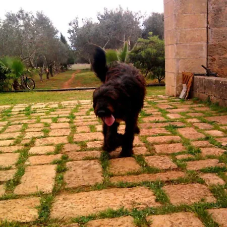 Masseria Isola Alessano